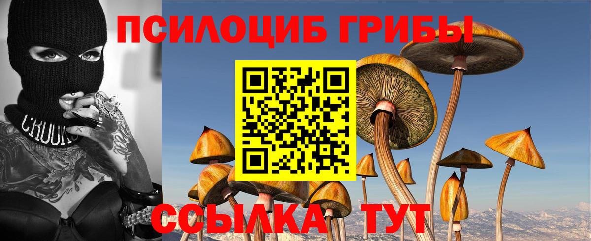 Псилоцибиновые грибы мицелий Городец